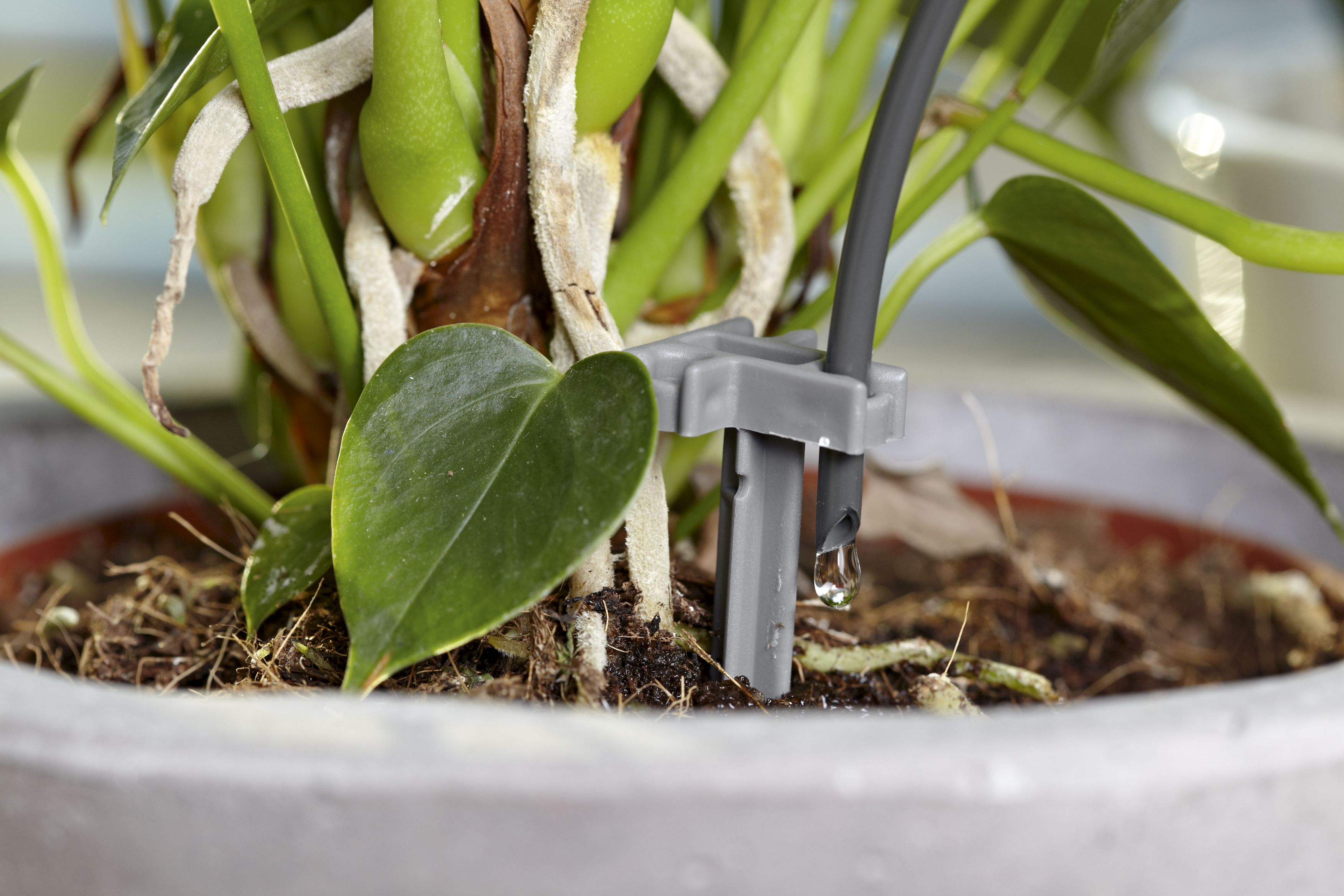 GARDENA City Gardening Urlaubsbewässerung-Set mit Vorratsbehälter