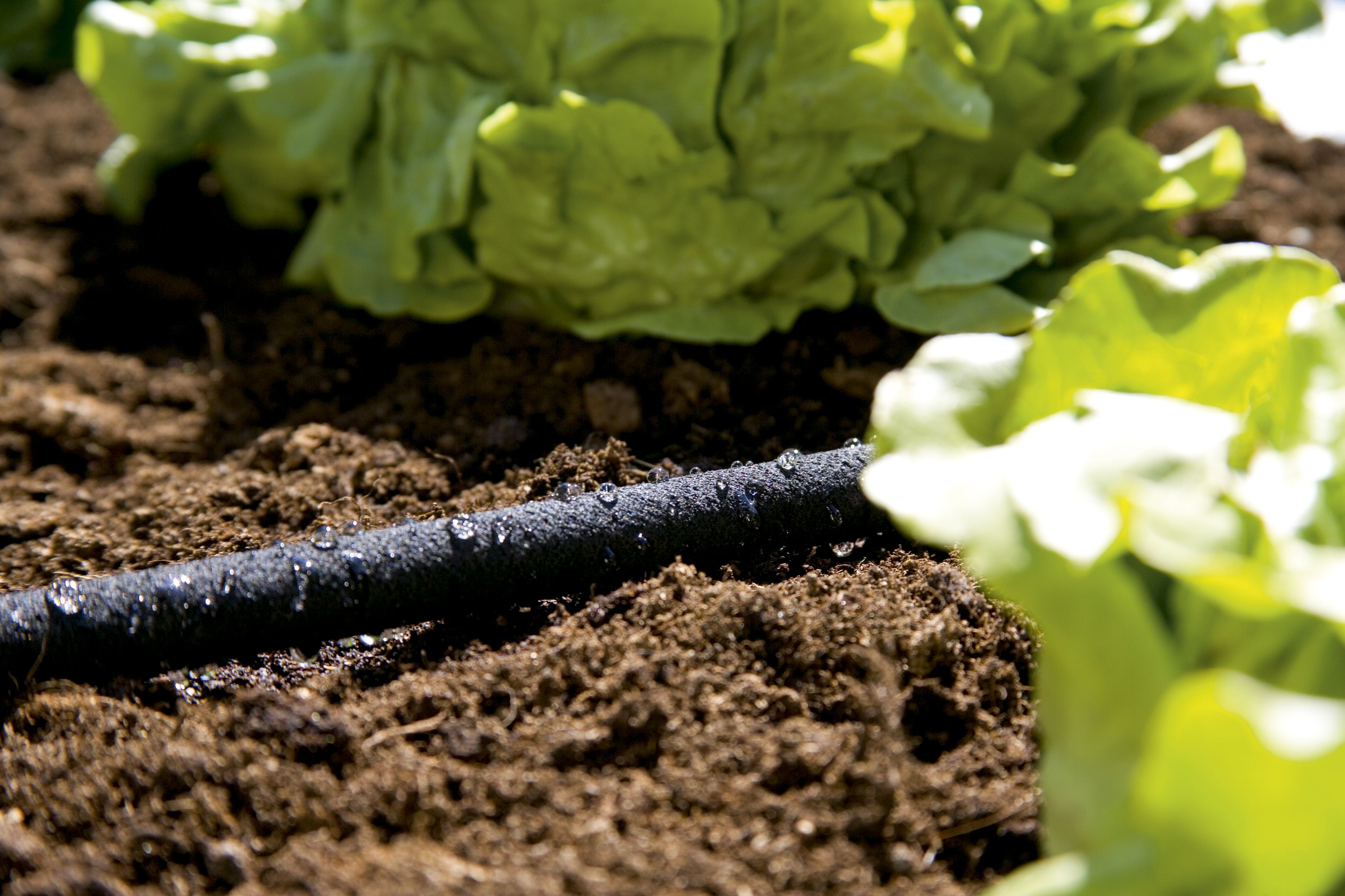 GARDENA Perl-Regner 15 m