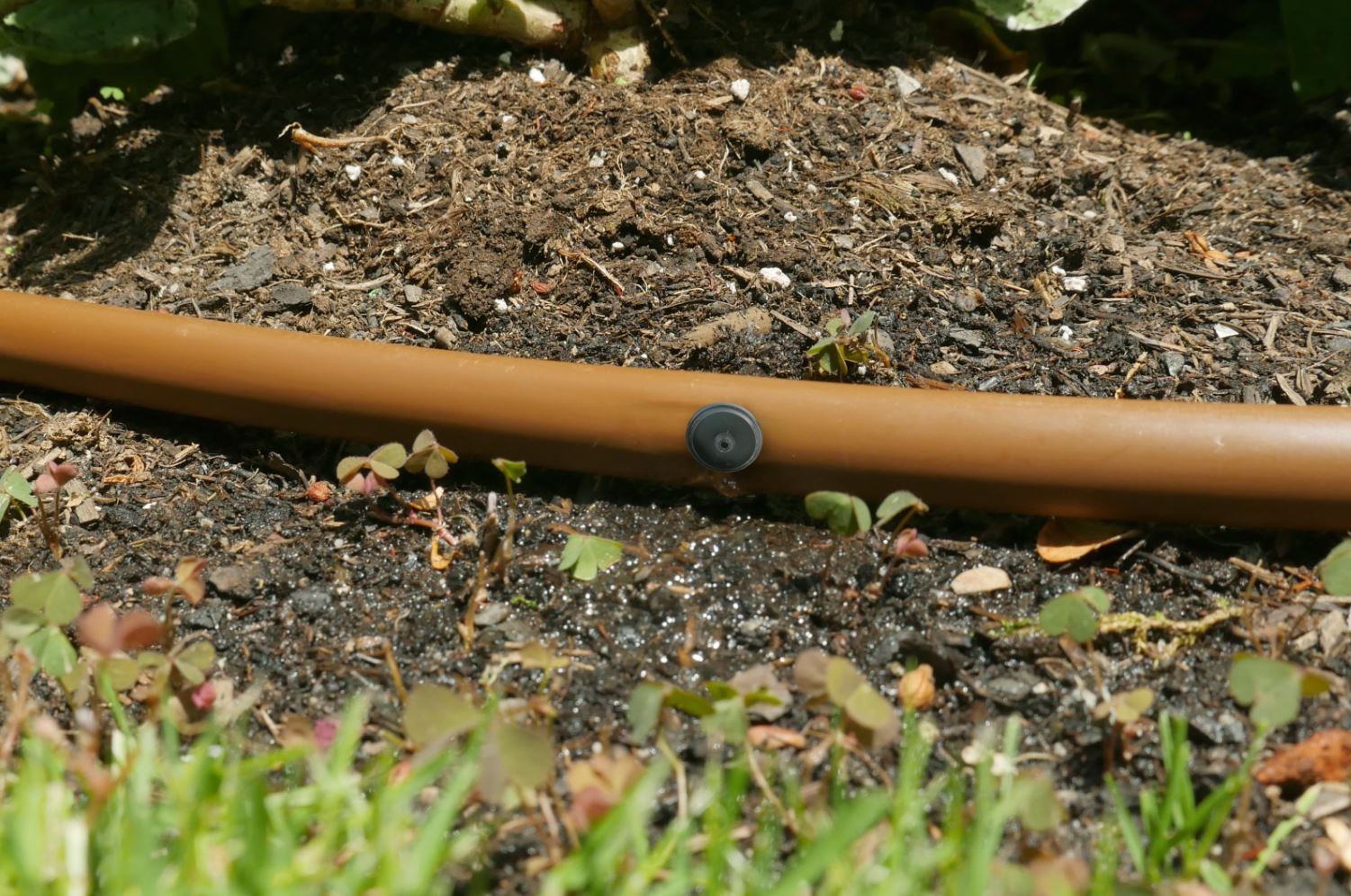 UNIVERSAL Tropf-Emitter für S- oder XS-Schläuche