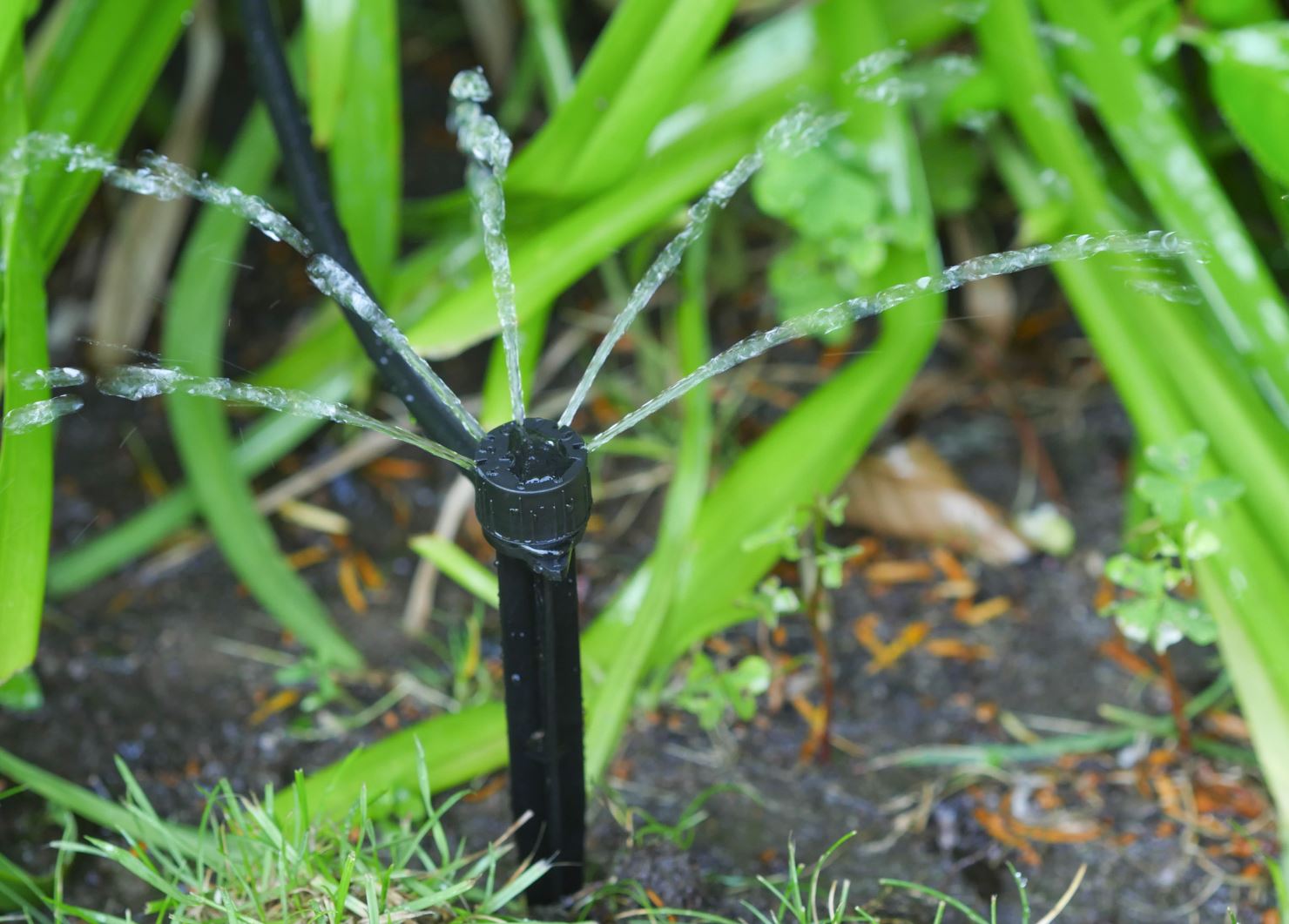 MULTI-Emitter mit einstellbarem Durchfluss