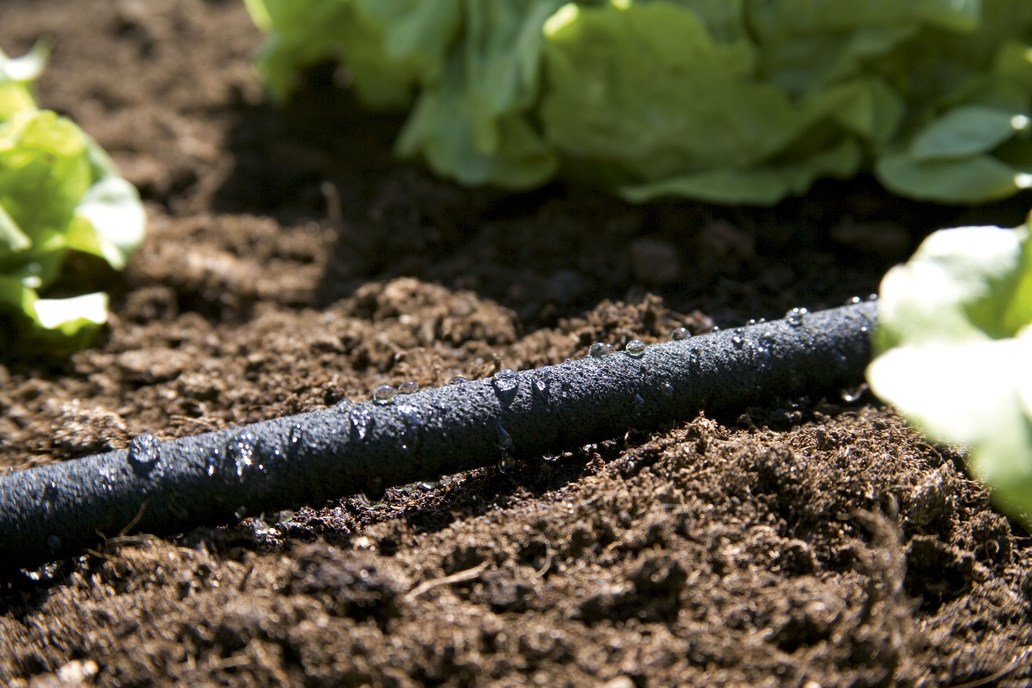 GARDENA Perl-Regner 15 m