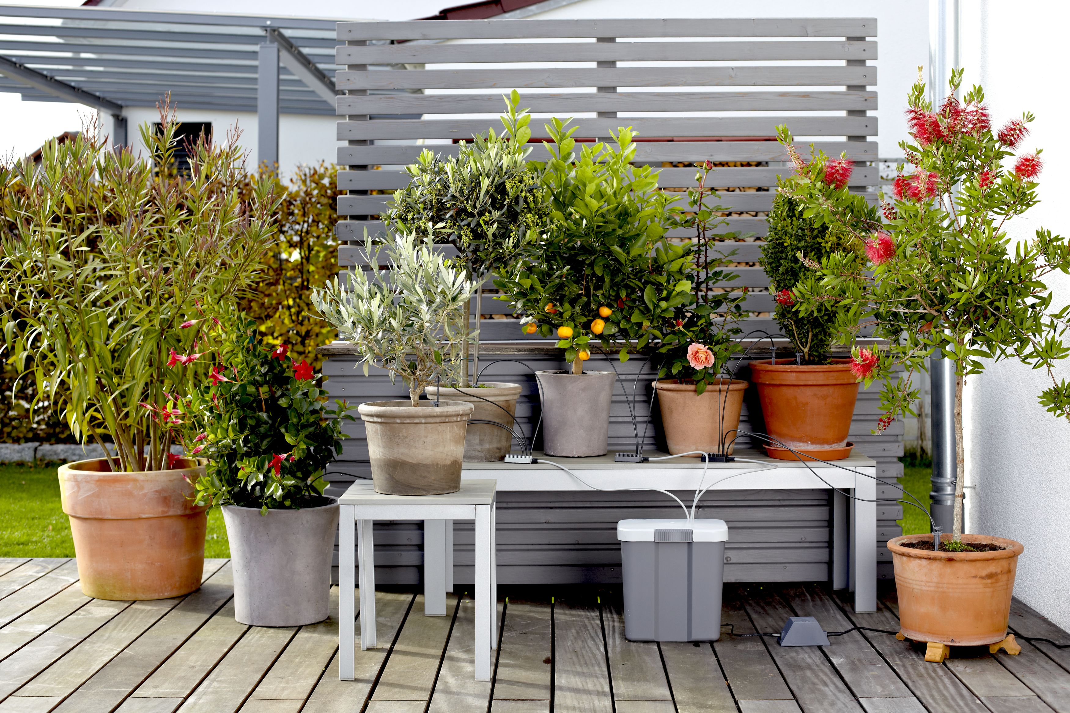 GARDENA City Gardening Urlaubsbewässerung-Set mit Vorratsbehälter