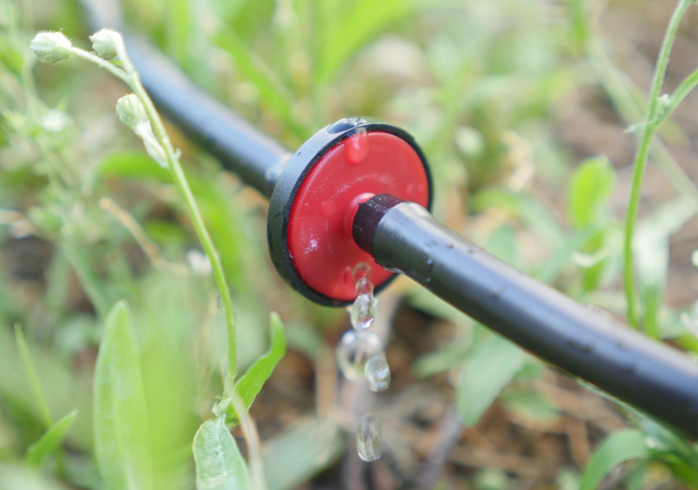 INLINE Tropf-Emitter